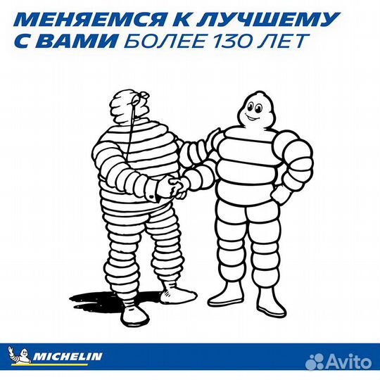 Michelin Pilot Alpin 5 245/40 R20 и 275/35 R20 102W