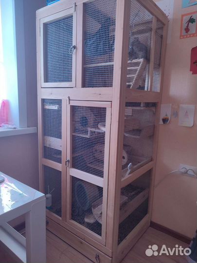 Клетка дегу