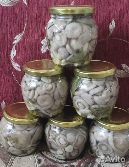 Грузди маринованные