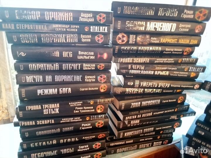 Книги из серии Сталкер и метро 2033