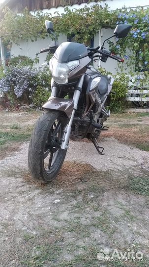 Racer RC250CK-N