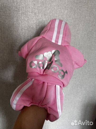 Костюм на собачку