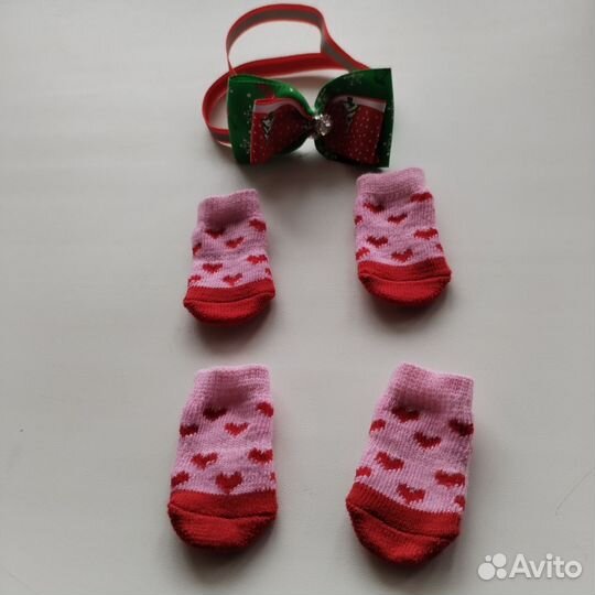 Одежда для кошек и собак