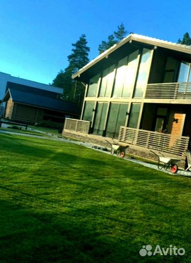 Рулонный газон 