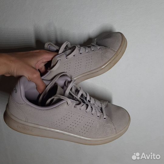 Кеды Adidas Advantage neo purple