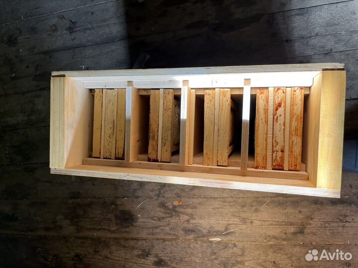 Улик для пчёл на 4 семьи стартовый