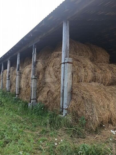 Участок 280 га (СНТ, ДНП)