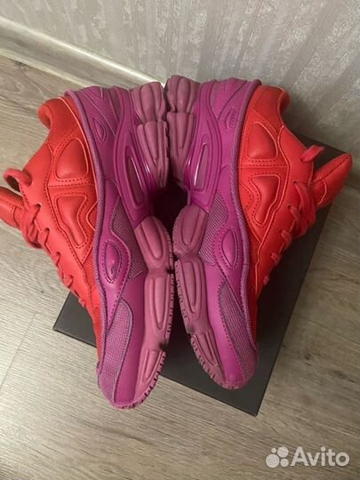 Raf simons glory