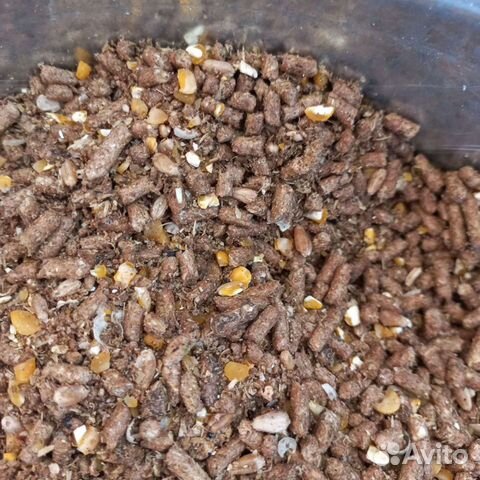 Комбикорм Жирный, Несушка фермерский,Пшеница