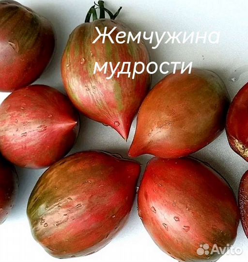 Коллекционные семена сортовых томатов