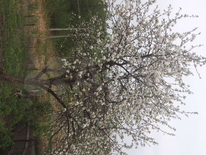 Дом 100 м² на участке 21 сот.