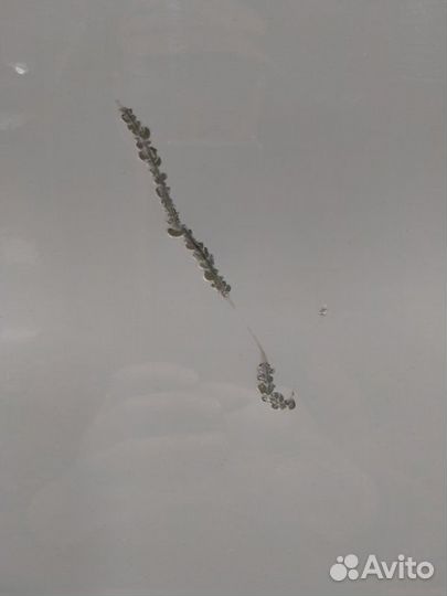 Дверь передняя левая Bmw X5 E53 M54 03/2004