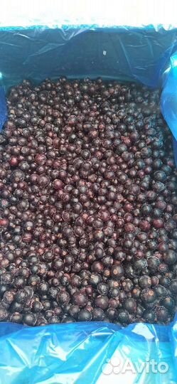 Ягода глубокой заморозки