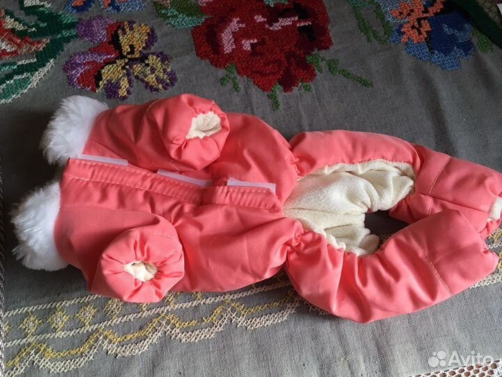 Комбинезон для чихуахуа