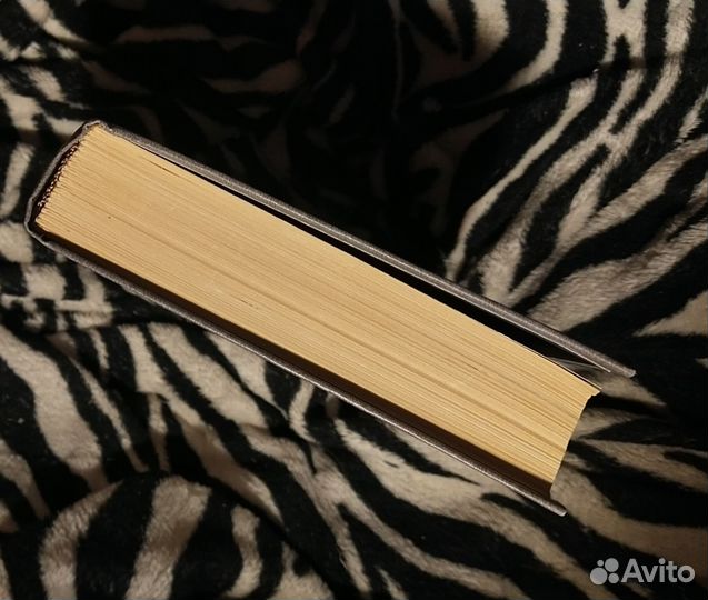 Введение в философию. Том 2