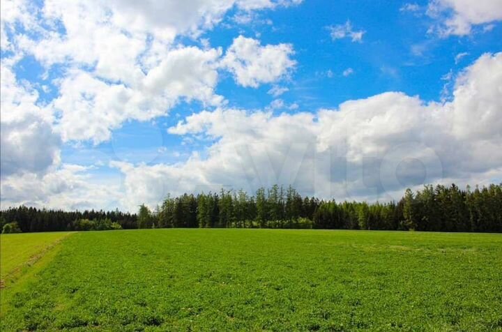 Участок 11,2 га (СНТ, ДНП)