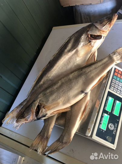 Рыба вяленая