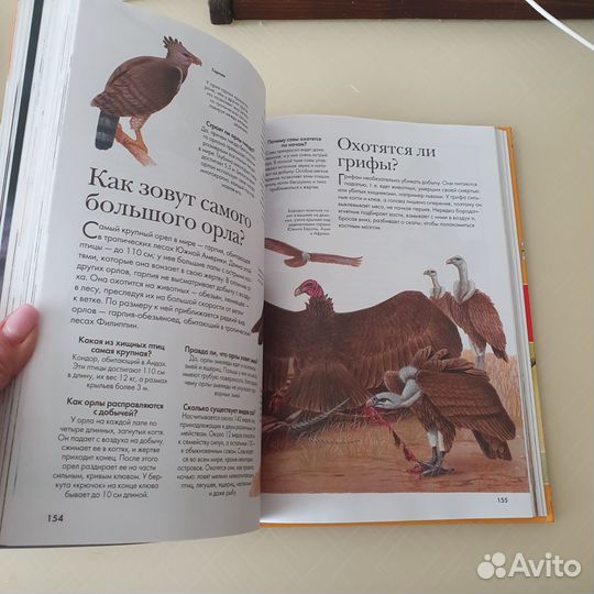 Детская энциклопедия Вопросы и ответы