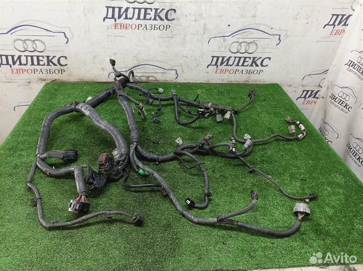 Проводка (коса) двс Nissan Juke (F15) 2011