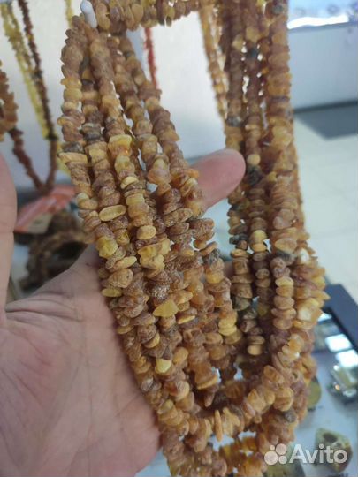 Янтарный Жук