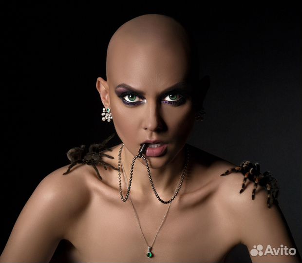 Аренда животных. Змеи, пауки для фото и видео