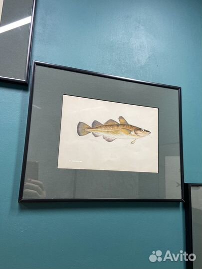 Старинная литография