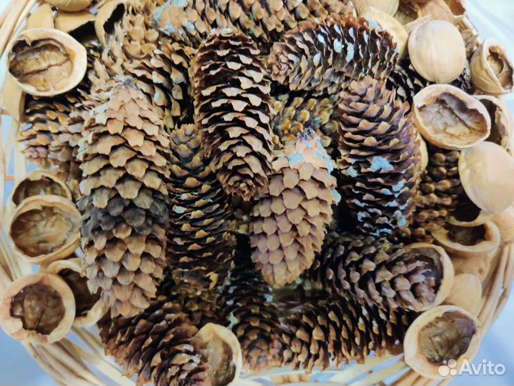 Шишки и скорлупа грецкого ореха