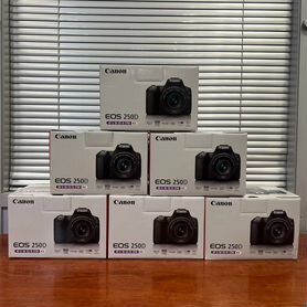 Canon Eos 250D Kit EF-S 18-55mm IS STM (Новый)