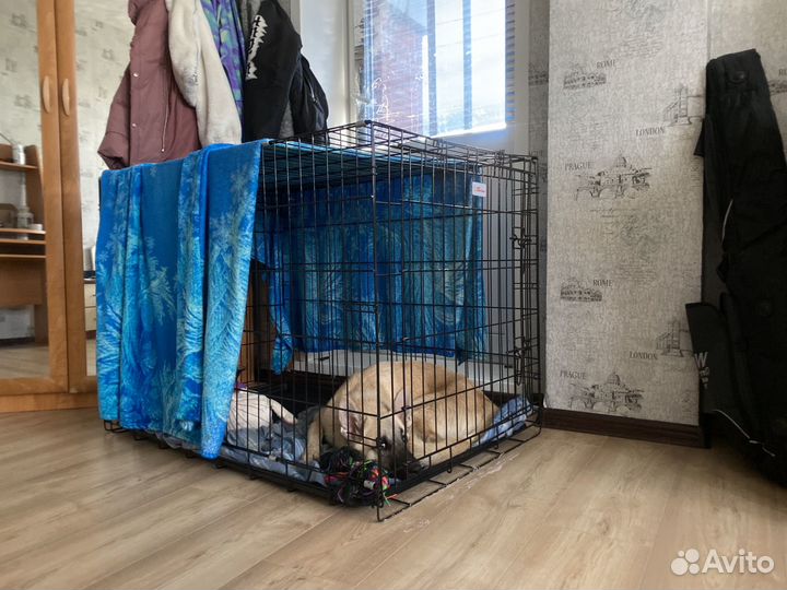 Клетка вольер для собак бу