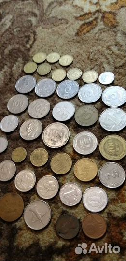 Сундук с монетами