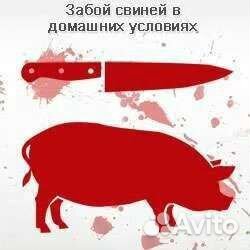 Забой скота