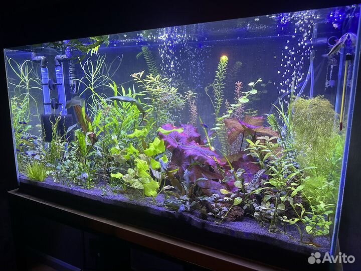 Аквариумы и аквариумное оборудование