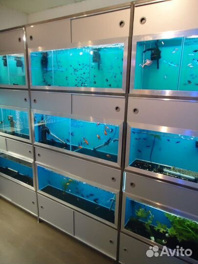 Аквариумные торговые комплексы