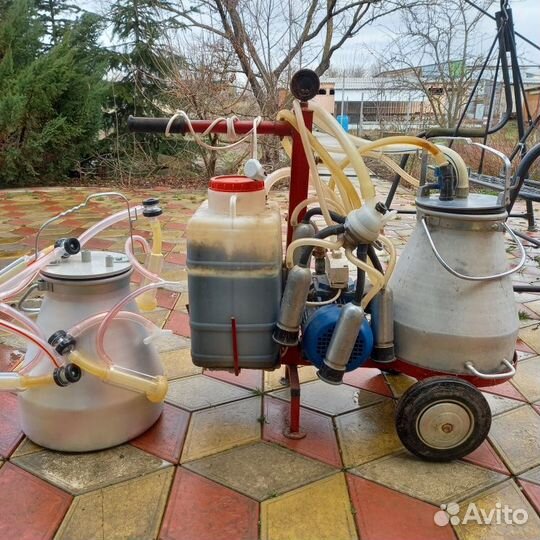Доильный аппарат