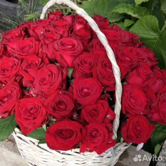 Цветы розы с доставкой