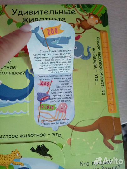Детская познавательная книга, животные