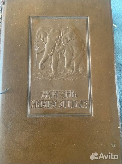 3 книги из Жизни животных по Брему