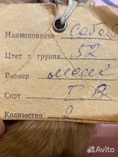 Шкурка животного. Соболь