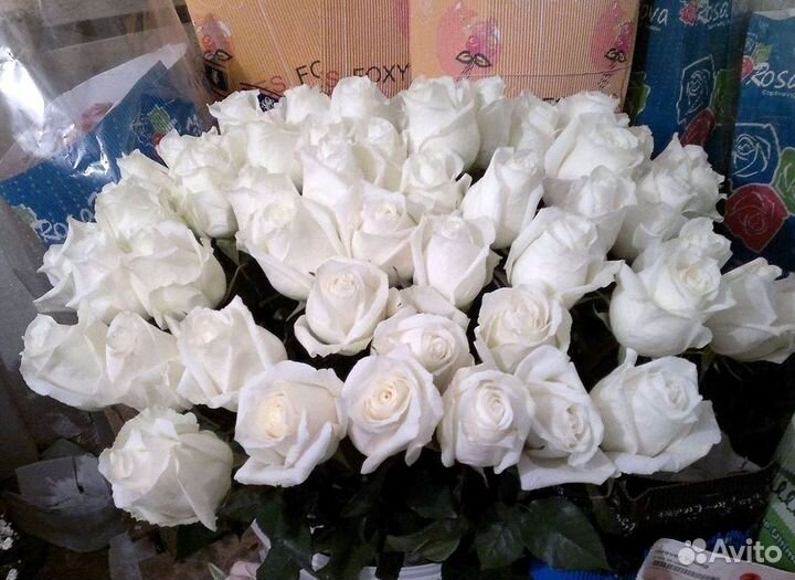 Высокие розы Гигантские розы Доставка цветов