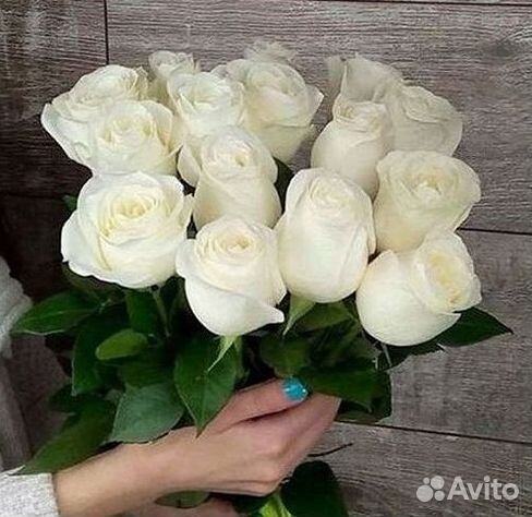 Высокие Розы с Доставкой