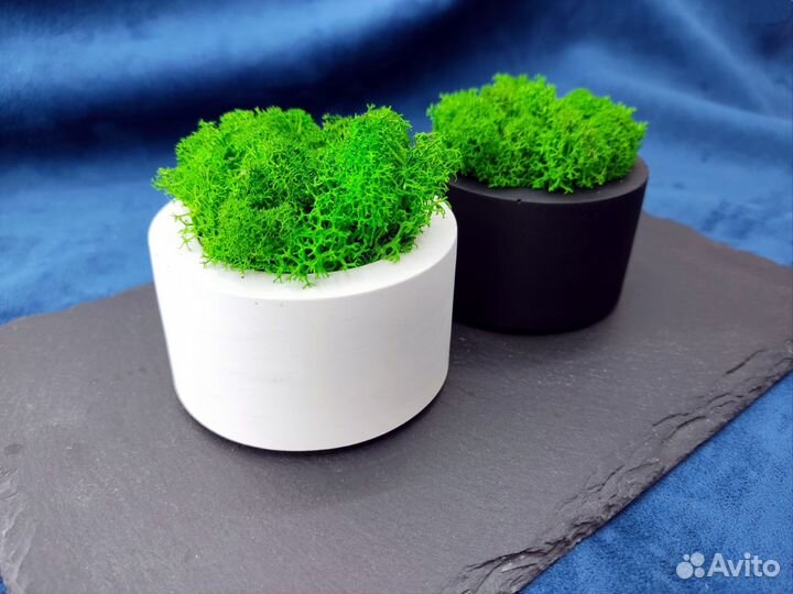 Кашпо со мхом