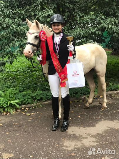 Верховая езда Обучение