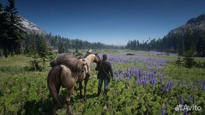 Red Dead Redemption 2 PS4/5 x-2488