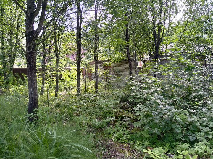 Участок 15,4 сот. (ИЖС)