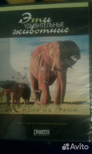 Видео о жизни животных