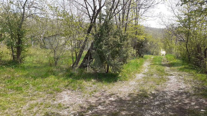 Участок 4 сот. (СНТ, ДНП)