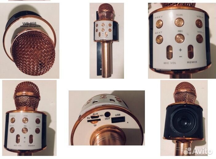 WS-858. Караоке колонка с микрофоном