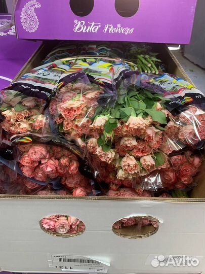 Цветы оптом в ваш город