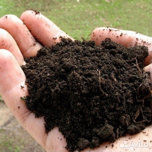 Чернозем, торф, садовая земля