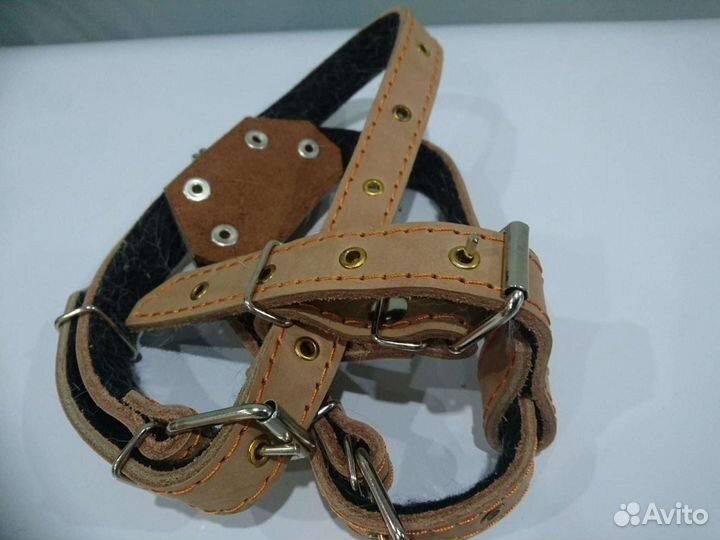 Шлейки для собак средних пород